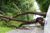 Knox, some areas still lack power