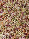 Summer Vegetable Salads