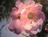Hobart Arts League hosts exhibit of juried artwork