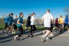 Fleet Feet Fun Run for Boston