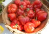 Lake Station launches new farmers market
