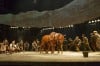 "War Horse" National Broadway Tour Plowing Scene