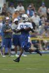 Reggie Wayne