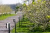 Apple trees blossom early, spurring some concerns among region orchards