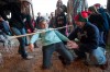118112-nws-POlights