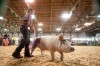 Porter County Fair's showmanship contest helps develop leaders