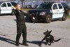 Django, partner ready to collar criminals
