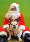 For pet-owners, holiday plans revolve around pets
