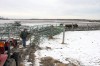 Buffalo still roam in Union Township