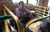 Students get close-up look at farm animals during 4-H event