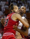 Bulls Heat Basketball