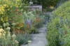 Gardening Smarter Weeding