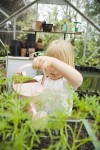 Greenhouses Provide Growing Opportunities for Enthusiasts of all Ages