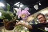 Porter County kicks off gardening season 2011