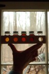 Discover Indiana's maple syrup history