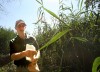 Forest Preserve works to retore Eggers marsh in Hegewisch