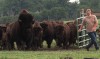 Broken Wagon Bison Farm