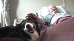 Pets offer comfort to hospice patients, families