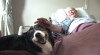 Dog visits hospice patients