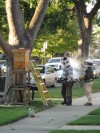 Gerry Wozniak and Dr. Jerry Coltro Charm a Chicago Urban Bee Hive