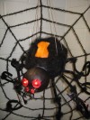 Web Ready