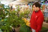 Indiana tropics: Creating an indoor citrus garden