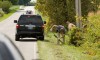Police continue search for evidence in Union Township homicide
