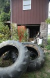 Cleanup of Hobart hoarder's house/farm begins