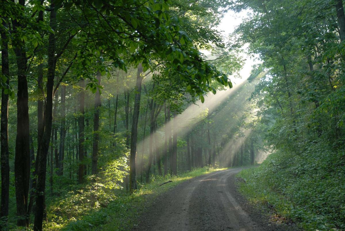 Visit South Central Ohio’s 'Little Smokies' at Shawnee State Park and