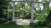 A walk in the garden