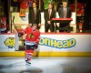 Marian Hossa