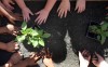 Green thumbs: Teaching Garden project hopes to instill good habits at an early age