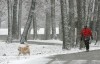Walking in the snow