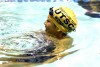 Katie Wong, a Wheeler freshman swimmer