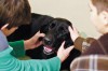 Owner upset police shot dog  