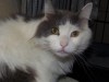 Jasper