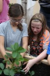 Garden a place for Valpo students to learn and grow
