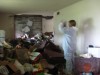 Cleanup of Hobart hoarder's house/farm begins