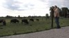 Broken Wagon Bison Farm