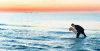 Timeless Images Photography