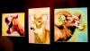 PSC announces winners of 'Verge' exhibit
