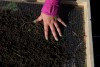 IUN archeology instructor leads students in campus dig