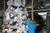 St. Catherine Hospital | wings of healing