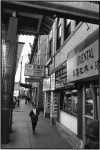 Honoring the Immigrant Spirit