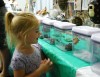 Amphibian fun at the Crete library
