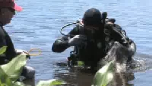 VIDEO: Search for homicide weapon yields nothing