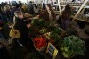 Chipotle Presents 'Cultivate Chicago,' A Culinary Celebration