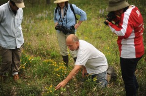 Region's ecological history is etched in the landscape