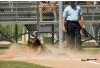 Valparaiso University's Sara Strickland