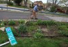Police chief: State Line curb proved to be a success six years later